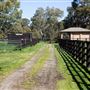 Alwyn Park Stud