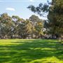 Alwyn Park Stud