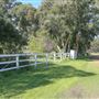 Alwyn Park Stud