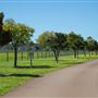 Gold Front Breeding & Racing