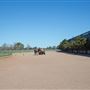 Gold Front Breeding & Racing