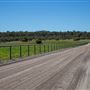 Gold Front Breeding & Racing