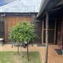 1418 Katrine Rd