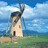 Lily' Dutch Windmill, Near Stirling Range National Park