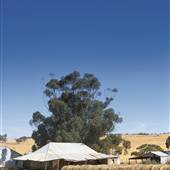 Goomalling
