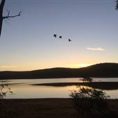 Collie River, Collie
