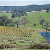 Ferguson Valley