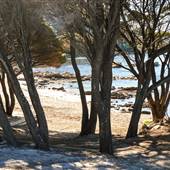 Bunker Bay
