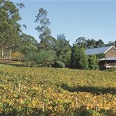 Karriview Wines