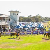 York Racecourse