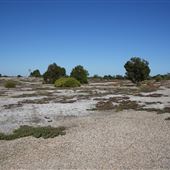 Whiteman Park - Flats for Build