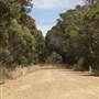 Mount  Richards Rd -Kalgan