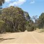 Mount  Richards Rd -Kalgan