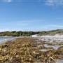 Denmark - Parry Beach - William Bay National Park