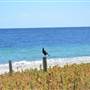 Busselton
