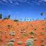 Canning Stock Route Midwest to the Kimberley