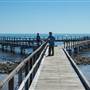 Hamelin Pool Marine Nature Reserve
