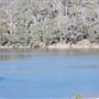 John Forrest National Park