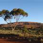 Kalgoorlie-Boulder East