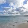 Hamelin Bay