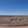 Paddington Gold Mine