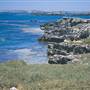 Penguin Island Conservation Park