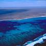 Shark Bay