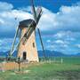 Lily' Dutch Windmill, Near Stirling Range National Park