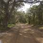 Thomas Rd - Lower Denmark