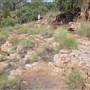 Tier Gorge