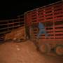 Wiluna