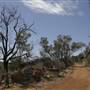 John Forrest National Park