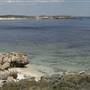 Rottnest Island