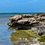 Abrolhos Islands - East Wallabi