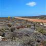Abrolhos Islands - East Wallabi