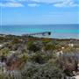 Abrolhos Islands - East Wallabi