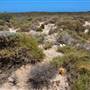 Abrolhos Islands - East Wallabi