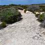 Abrolhos Islands - East Wallabi