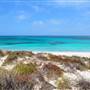 Abrolhos Islands - East Wallabi
