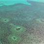 Abrolhos Islands - West Wallabi Island