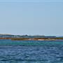 Garden Island - Goodwin Point - from water