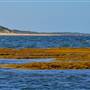Garden Island - Ewing Bay