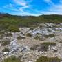 Garden Island - Point Atwick - North and South Bay from land