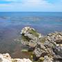 Garden Island - Point Atwick - North and South Bay from land