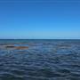 Garden Island - Calista Point - from water