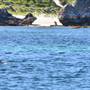 Garden Island - Calista Point - from water