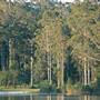 Pemberton - Big Brook Dam