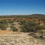 Mount Magnet landscapes