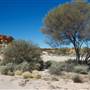Mount Magnet landscapes