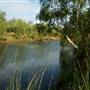 May River